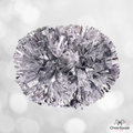Cheer PomPoms - Silver